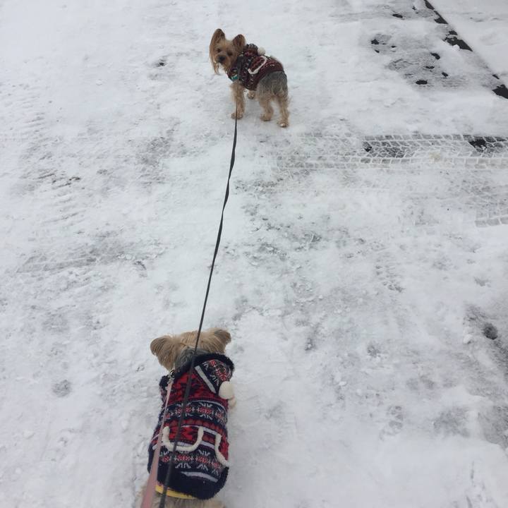 C34f9fb5 d068 43b4 b197 e5684a226fa4 1545814518143