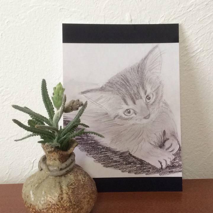 C34fdec7 20f6 44a7 b168 686865a675f4 1612651913874