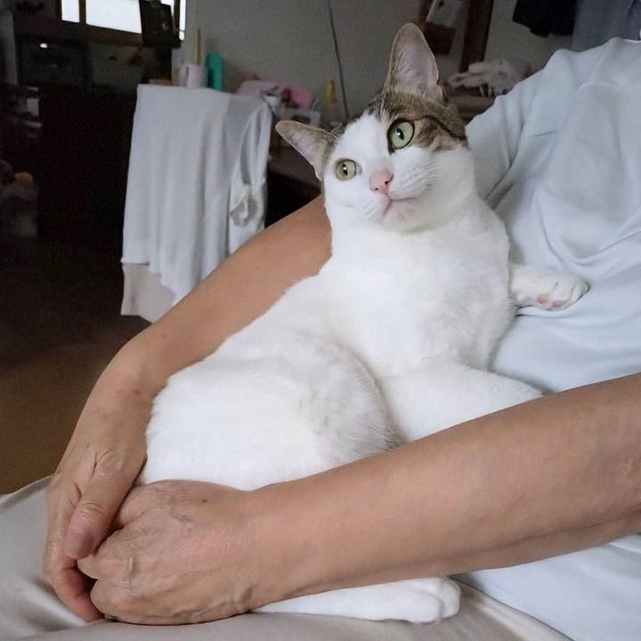 C34feb8b 244e 4927 b10f 6cc95d5a75de 1724749230522