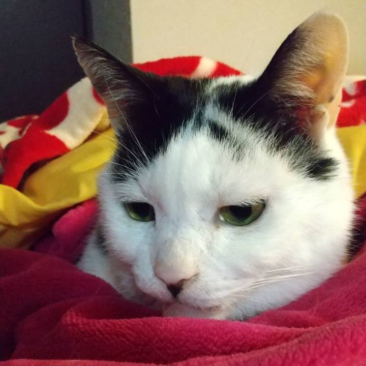 C34ffe5c b608 46c8 9059 50a647976a4c 1643801677685