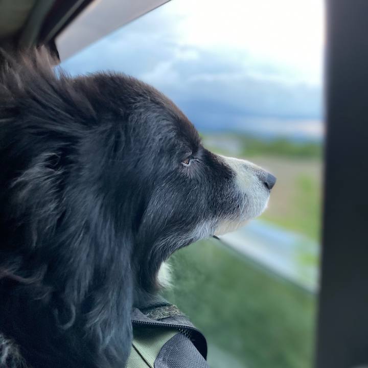 C3503fea 68fd 4d7d 8bd4 237cfa372d6d 1623583049408