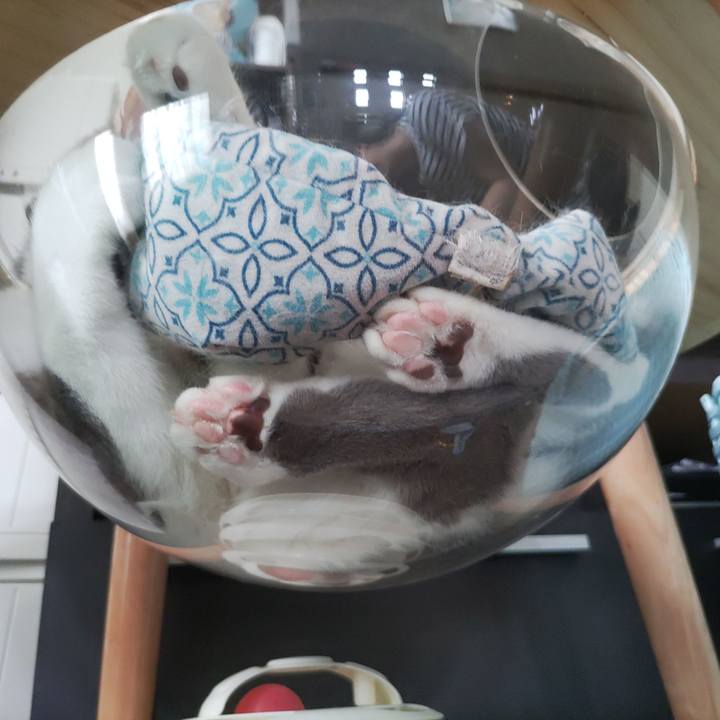 C3506d8c 4673 4518 a857 b2de9fdb7da3 1661832701932