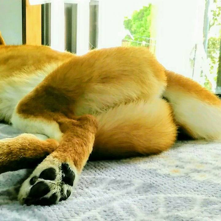 C3508170 77c7 42eb beb5 4ef2b3ec2a7e 1558258603609