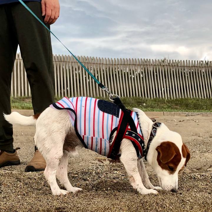 C3509de5 ea25 4a5c 8da1 7a861eebd03a 1656034794296