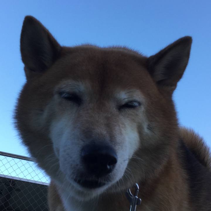 C350af35 25a4 4942 9b18 47e88df6c259 1597999614385