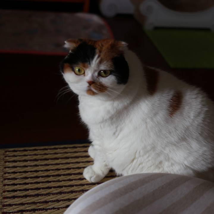 C350bb54 4577 4ee4 9da4 e2d3c34bfb44 1572325379570