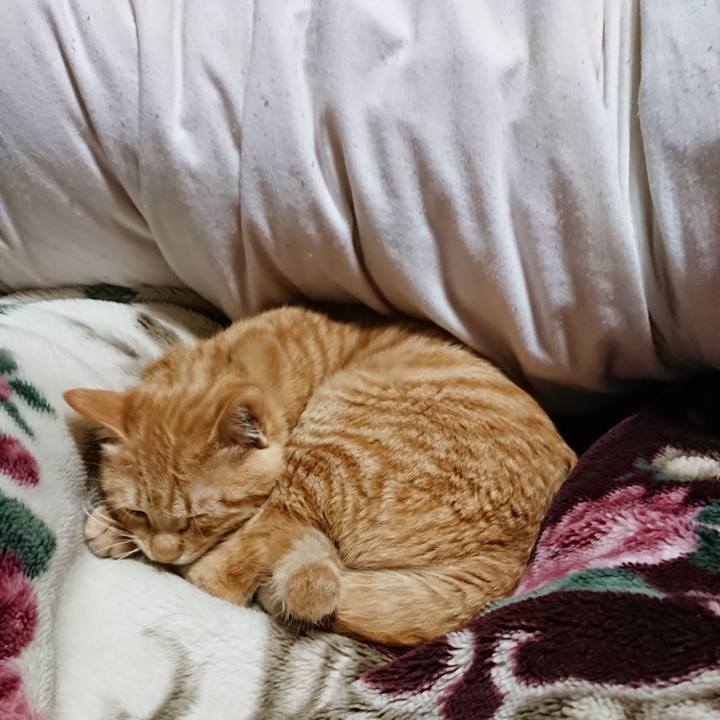 C350df33 5fad 406f b578 bdd9a01feca2 1638965415217