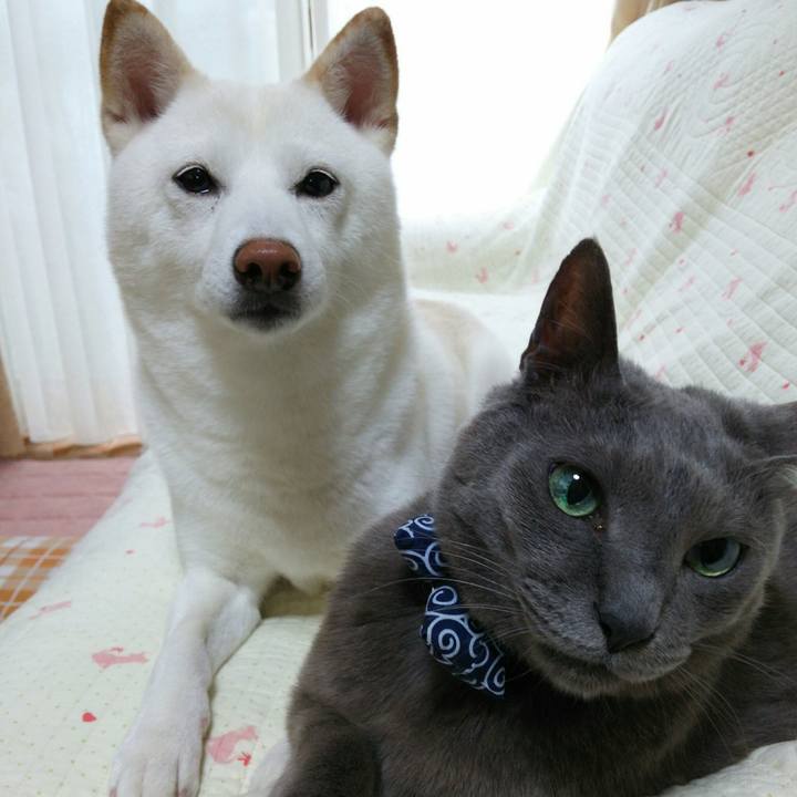 C35114c5 1e4d 40c7 9f2d 44121c6aedf0 1559002855134