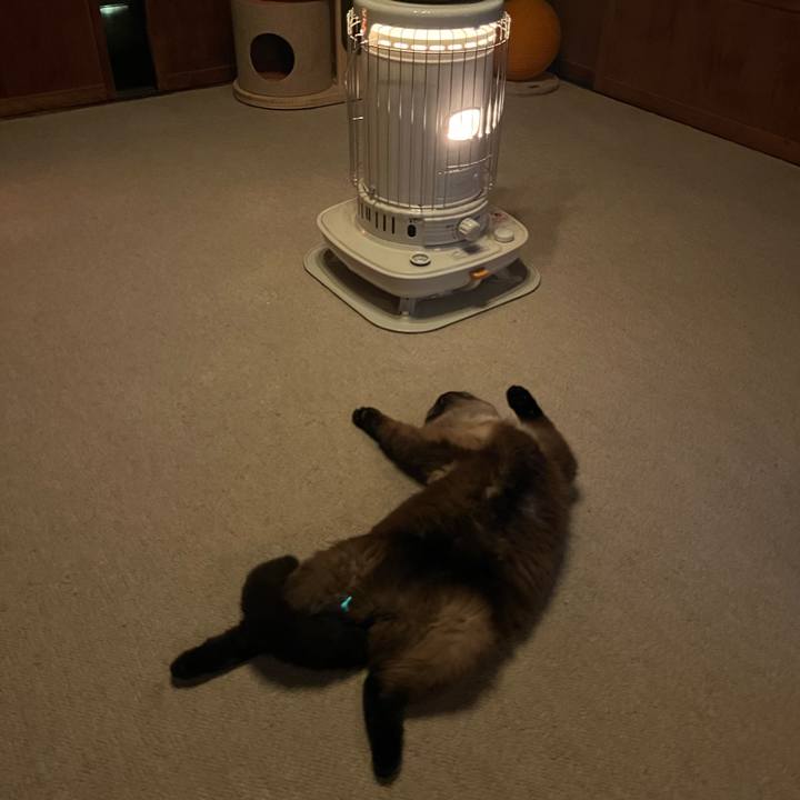 C351210f 4e42 47b9 996b 01c37e51bc6f 1737025748801