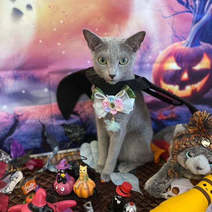 C351a0a3 59e8 4092 98a7 c1c4f01e735a 1698732439185