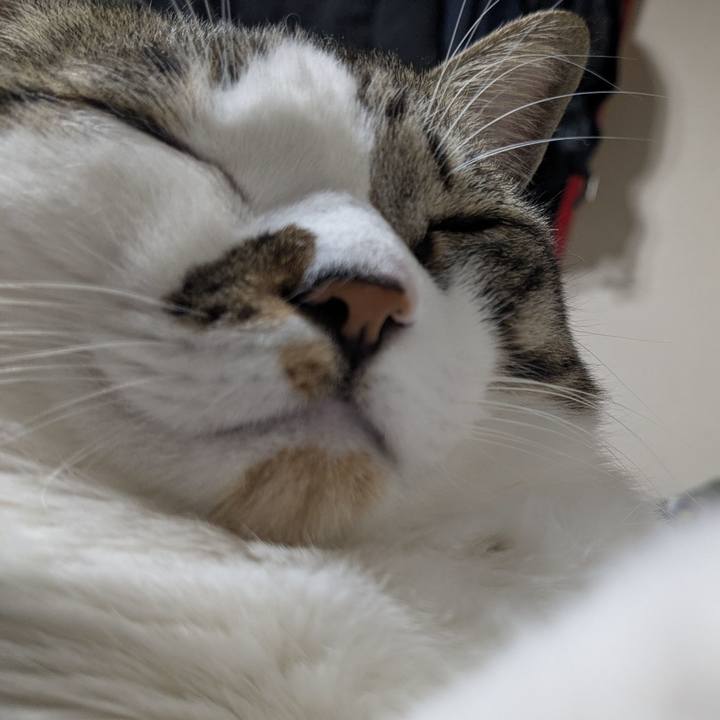 C351b21a 6755 4149 951b a2d7e015d739 1770808527013