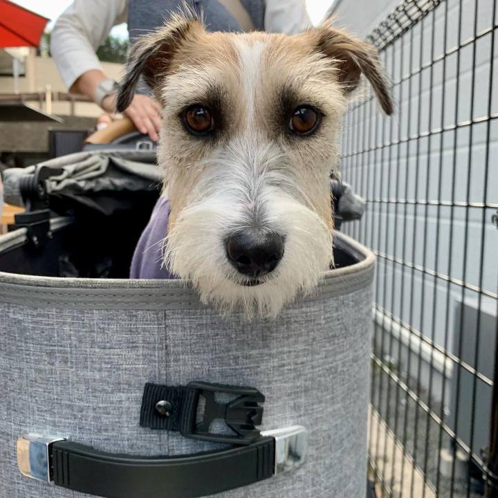 C352003f 4059 437d 8c4f 5761c353fb91 1666006634251