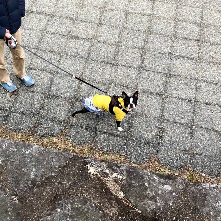 C352006d 9f1c 4399 bcda b8372fee1d89 1548566739377