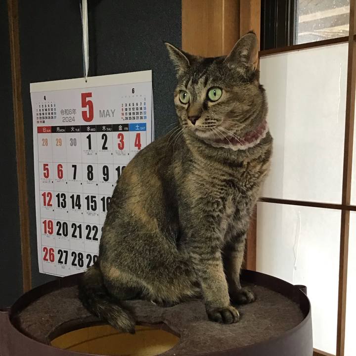 C3523357 279c 4465 96d5 2fc05815d902 1715848172150