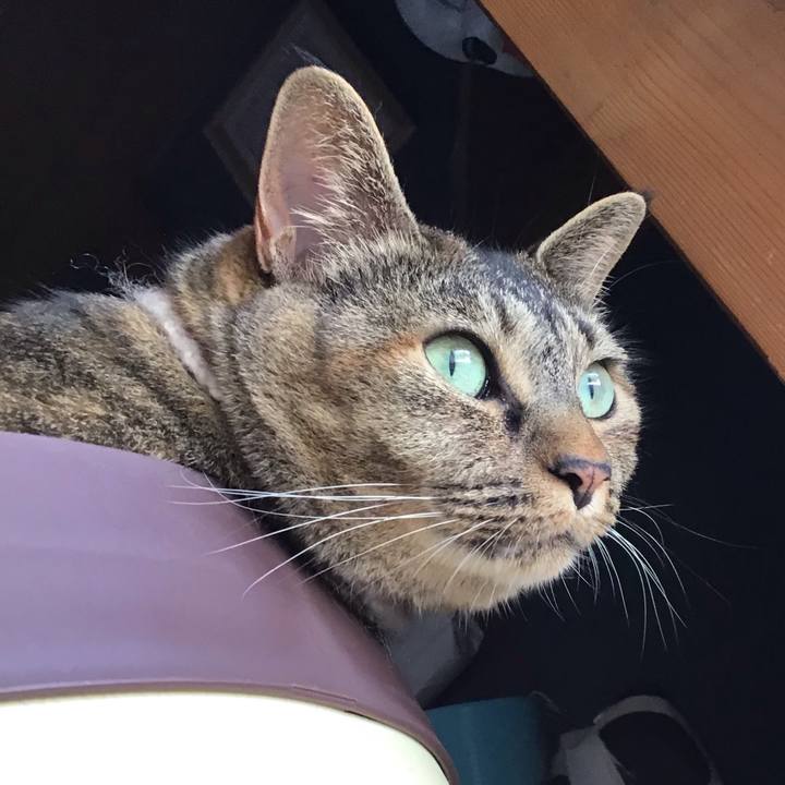 C3525d4d 66bd 4f1d 86fc d653aa460c83 1692947690579