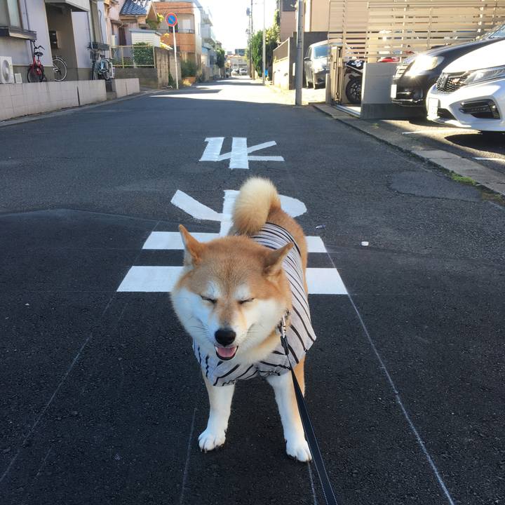 C35268ac 5b5d 4ab1 a77f ad3612442b68 1542251140997