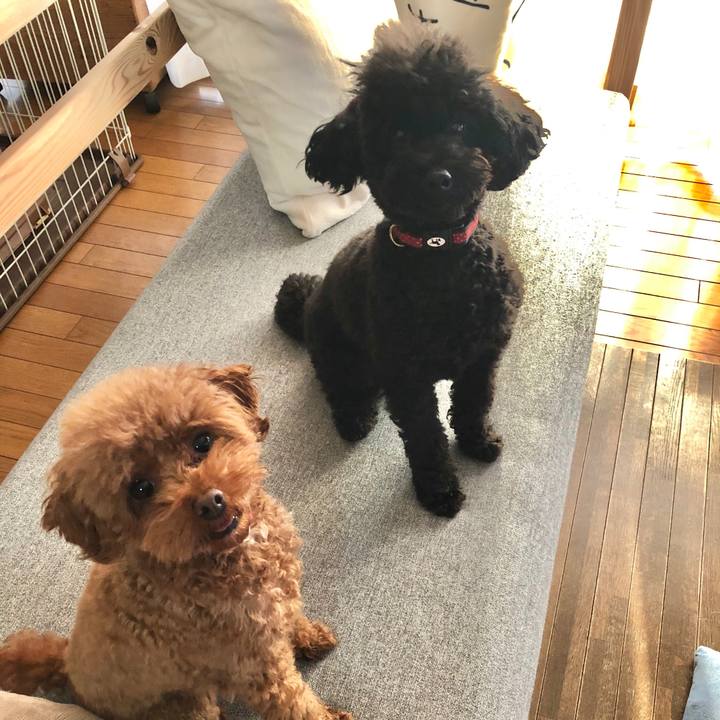 C3527132 47d5 4398 953d 97524895aead 1576449664701