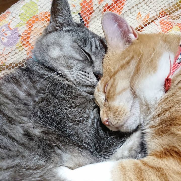 C35283a5 1293 44df 9f5f d781be3d4ee0 1571661705165