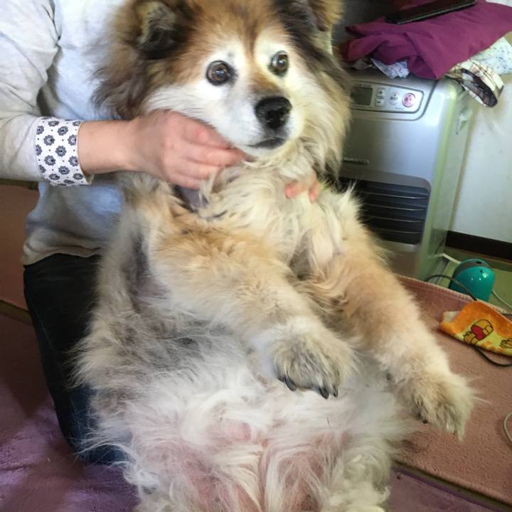 C35284aa 3a68 4e2f bf7f 1435a08abfe2 1559863914268