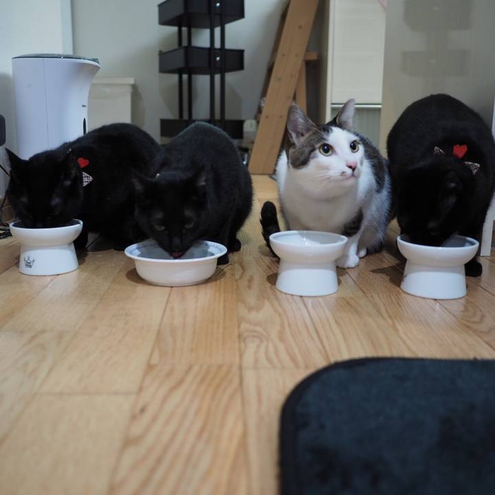 C352896b 52b8 4bf1 b8ee 96972303d02d 1545747251197