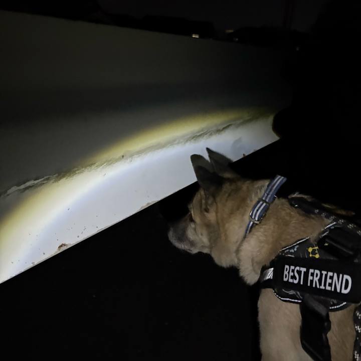 C35295ce 2fd2 4c8a 8643 d69c86c3cc8e 1763470757088