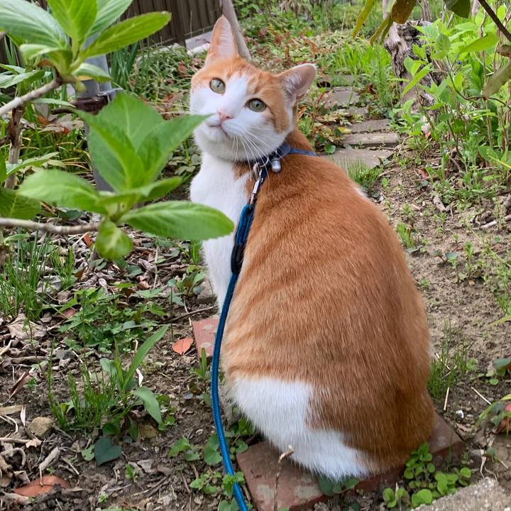 C352992f fc59 4afd 9ffc 14c846dccae7 1588507105101