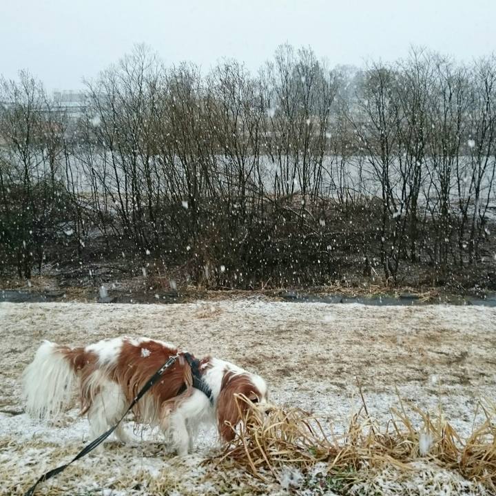 C352febd df32 4cfd 8c74 44fef3b9a857 1553723919788