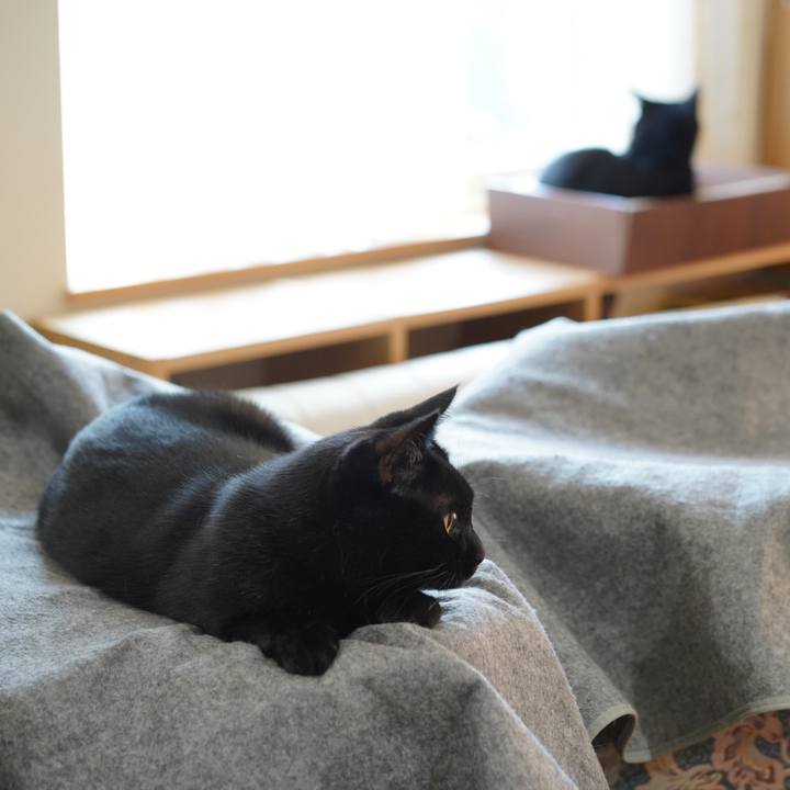 C353c381 c51e 4c13 84d3 d5e8bec9d8f3 1568073370270