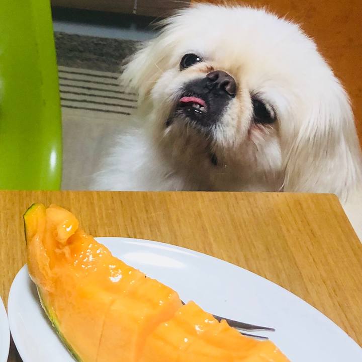 C353fcb2 d0e6 4f88 9848 eb041e6a7775 1599057946985