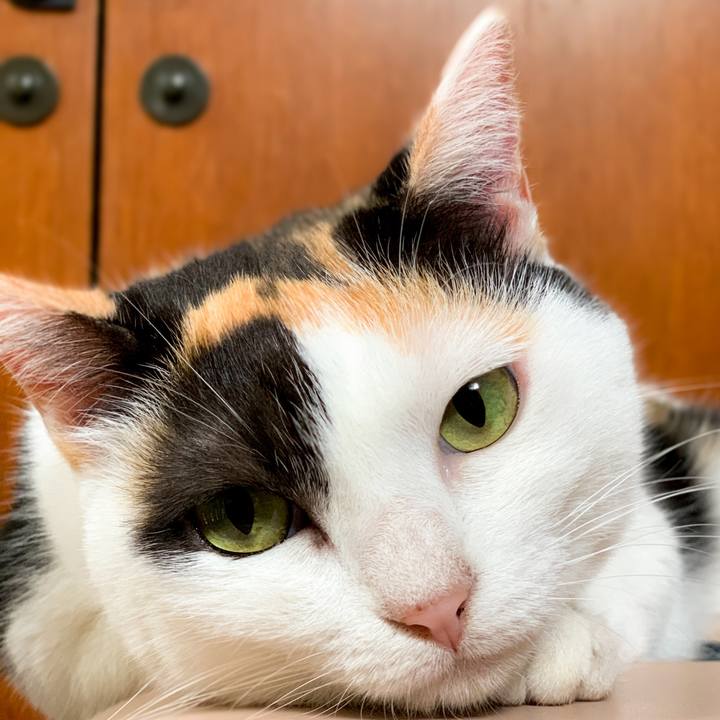 C35403ac 2f49 4418 8f9e 395a4cae5278 1601689941445