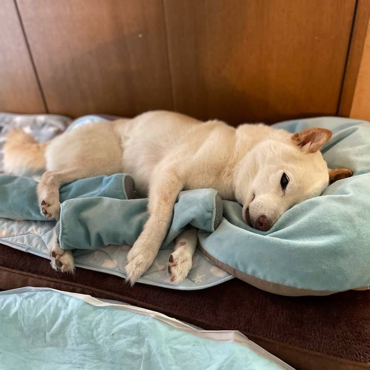 C3541e9a 17e7 4f22 b42c fd5fe45d3ebf 1652882952436