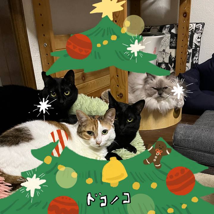 C35439db 6689 4558 8133 e75fd1b0dd9b 1764208600110