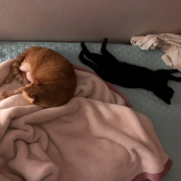 C3543c17 71e4 444e b7d6 a81f9820a8da 1659893950346