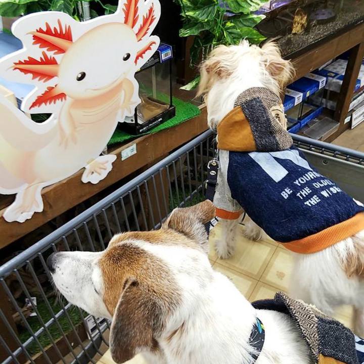 C3544e57 be74 4a9e bac1 6469fc74298d 1678827791696