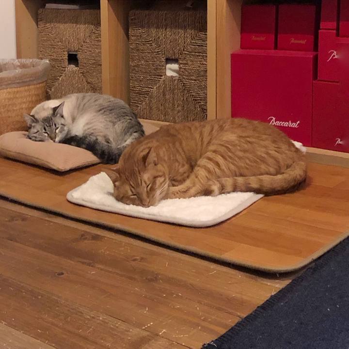 C35458b6 718b 4d98 a585 2afa9b38c595 1743284554493