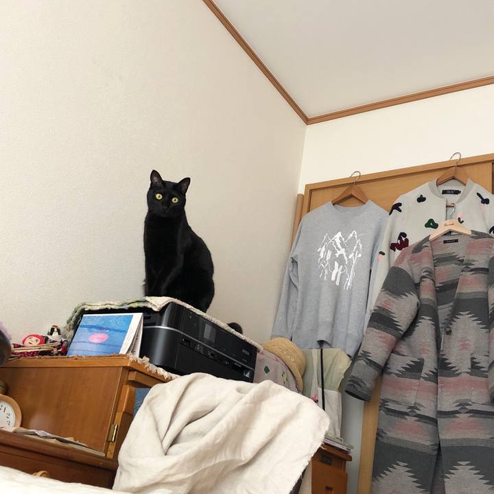 C3546c47 1dc6 4cef b642 fec66df15c04 1544313501795