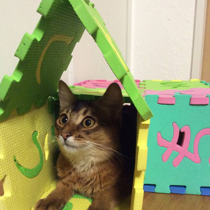 C354a012 a47d 41f0 a3df a3427c096dca 1566740911565