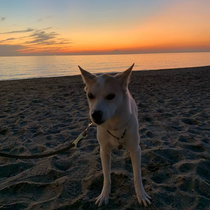 C354da90 9200 464b bd85 6908a2b7411a 1670156172606