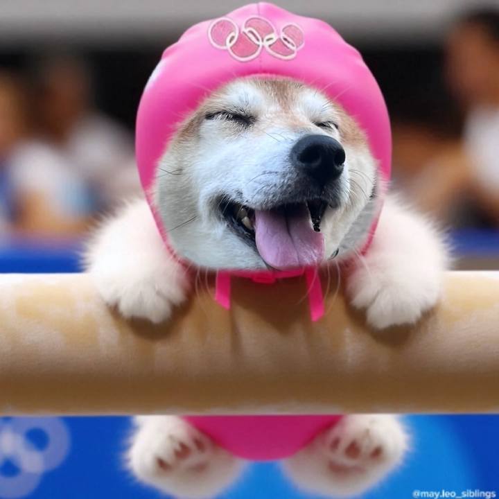 C354de92 8590 40eb 9ade fcac4c327ac8 1723814569314