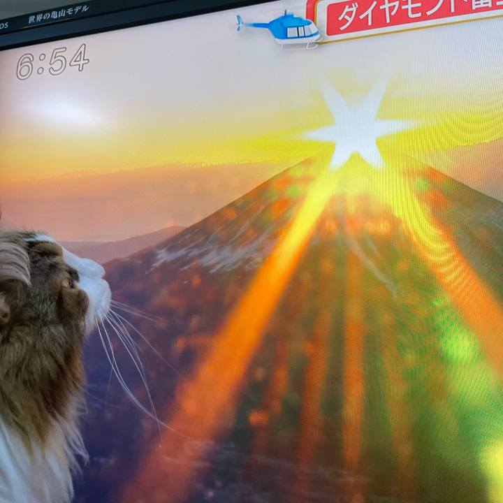 C354df20 047f 4841 b920 f8e1091bcc1d 1672524342202