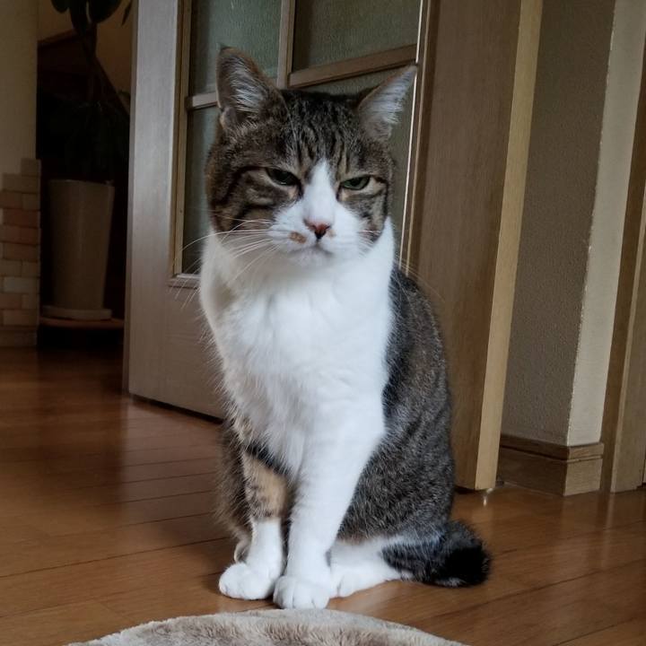 C354ef09 1186 4685 b3ee 53f5de7c6830 1531017094519