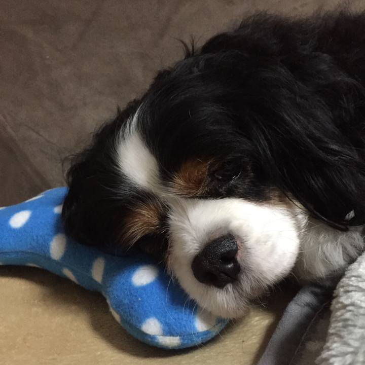 C35544e0 c6fc 4613 a7f7 a818e93625ab 1521285893386