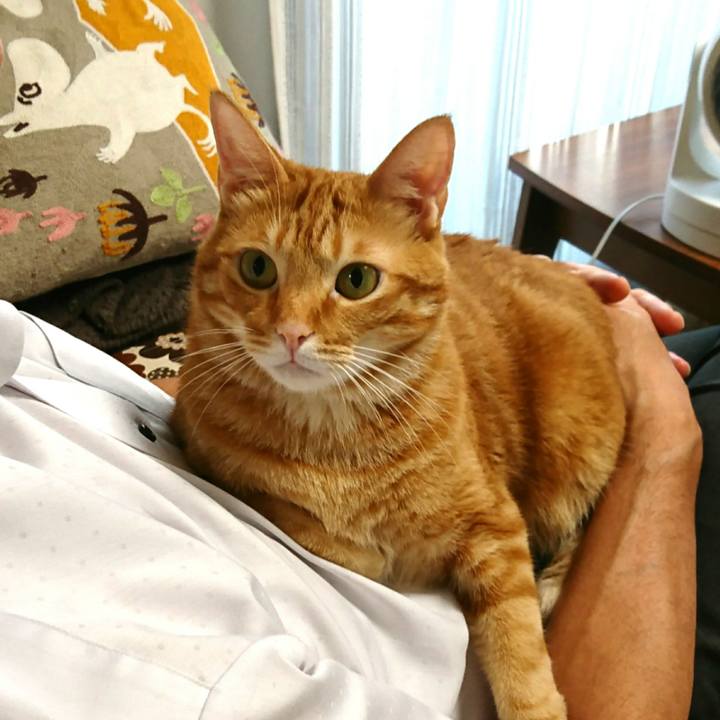 C3559076 593a 4298 a8eb a0e61e6de2d9 1536101226784