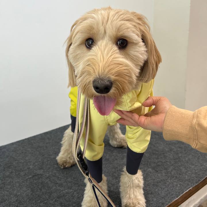 C355b3ee 2866 4e5c a145 b5da252ad61d 1749119265133