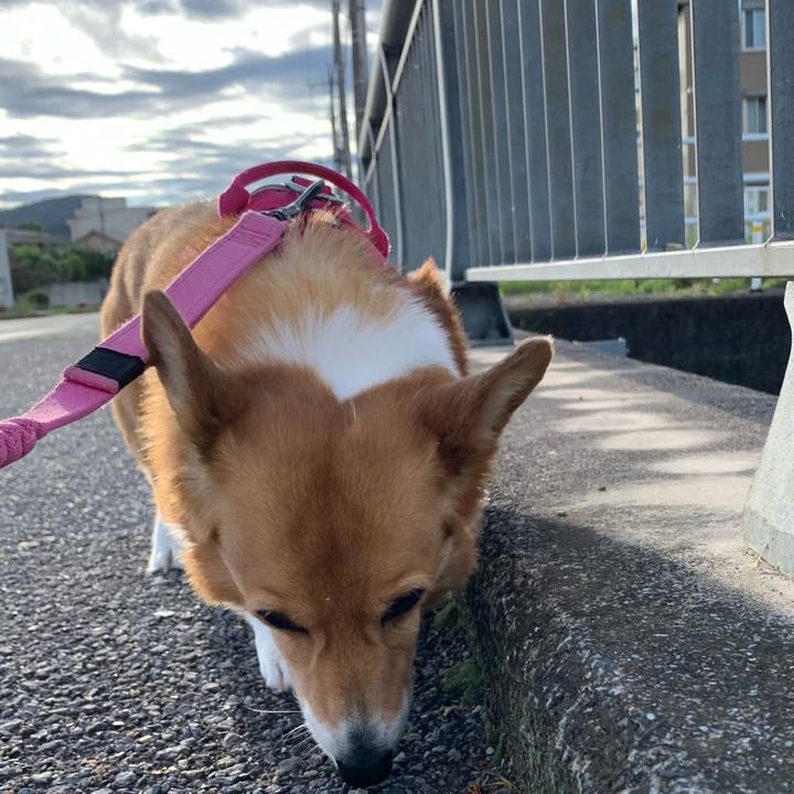 C355cbce a64d 465a aba1 2d06791d2b71 1716931782286