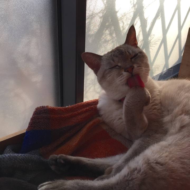 C355e337 4df9 4523 8446 6a7d83190979 1543559996972