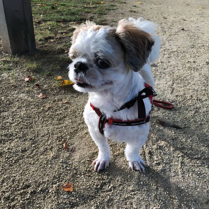 C355e66a a767 4c6c b014 373662dcc34f 1568065515622