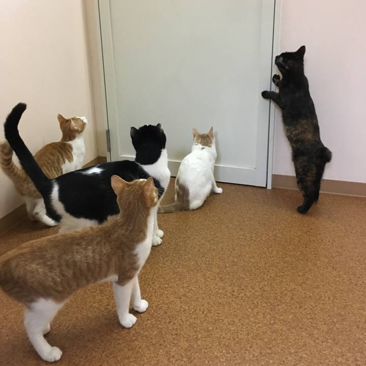 C3560abe 098f 42e6 84d7 82d1e7089c77 1511516356545