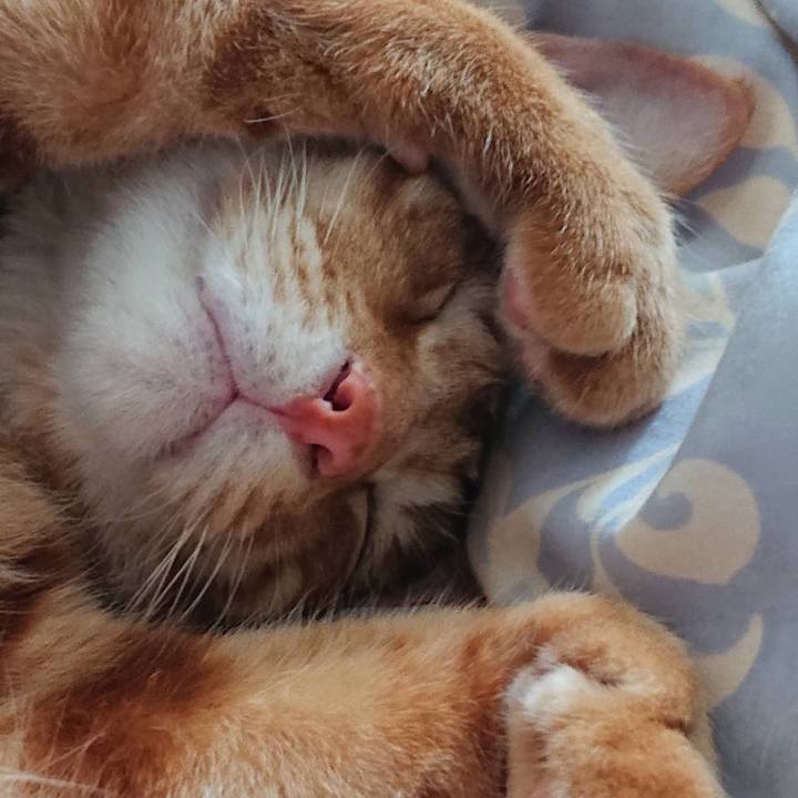 C3562f23 be2e 48ad 9e93 9e83024fdc1f 1589168487517