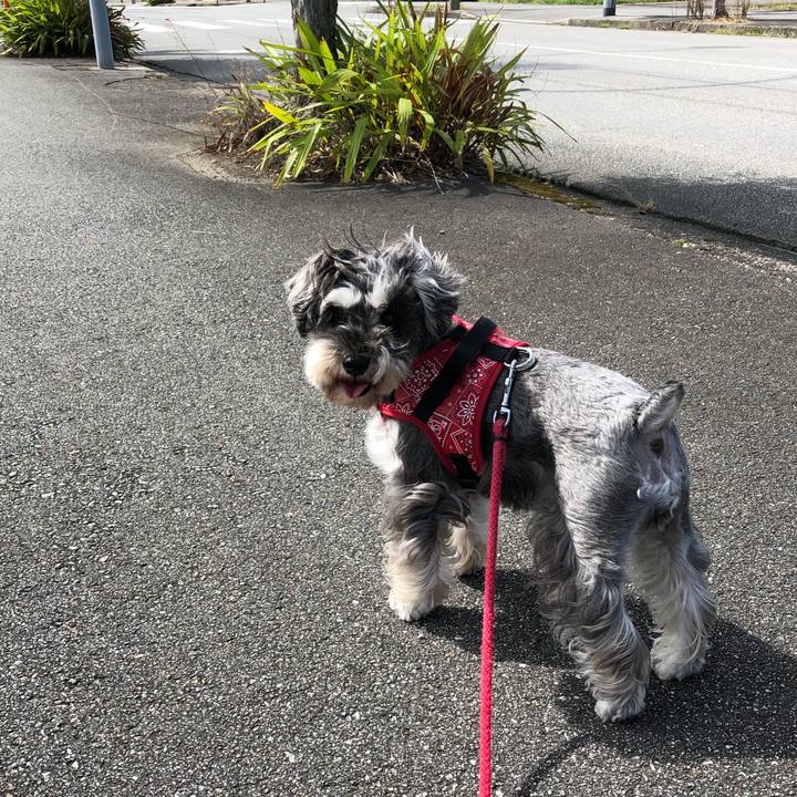 C35636e2 d4d9 46b4 be1e 8e94946265d1 1570336984037